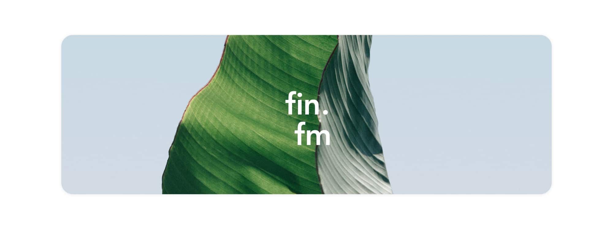 finfm