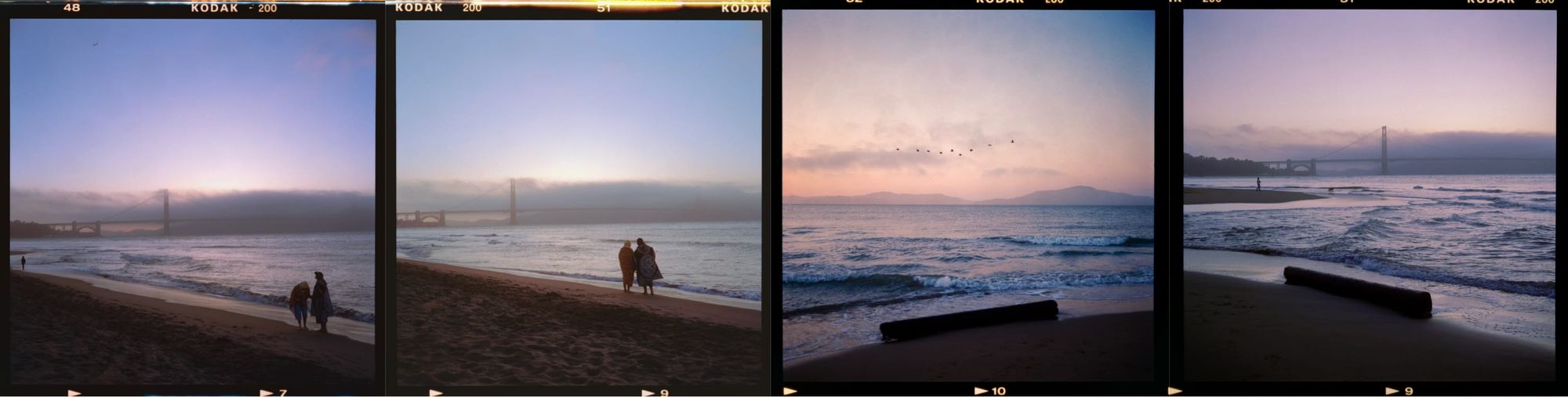 crissyfield3000