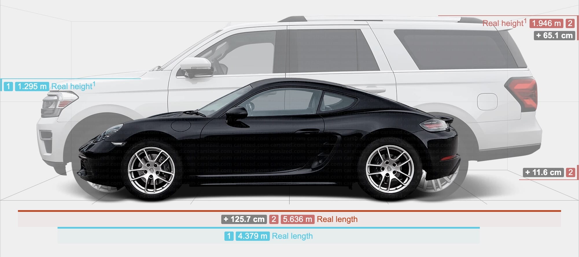 caymanvsexpeditionel2