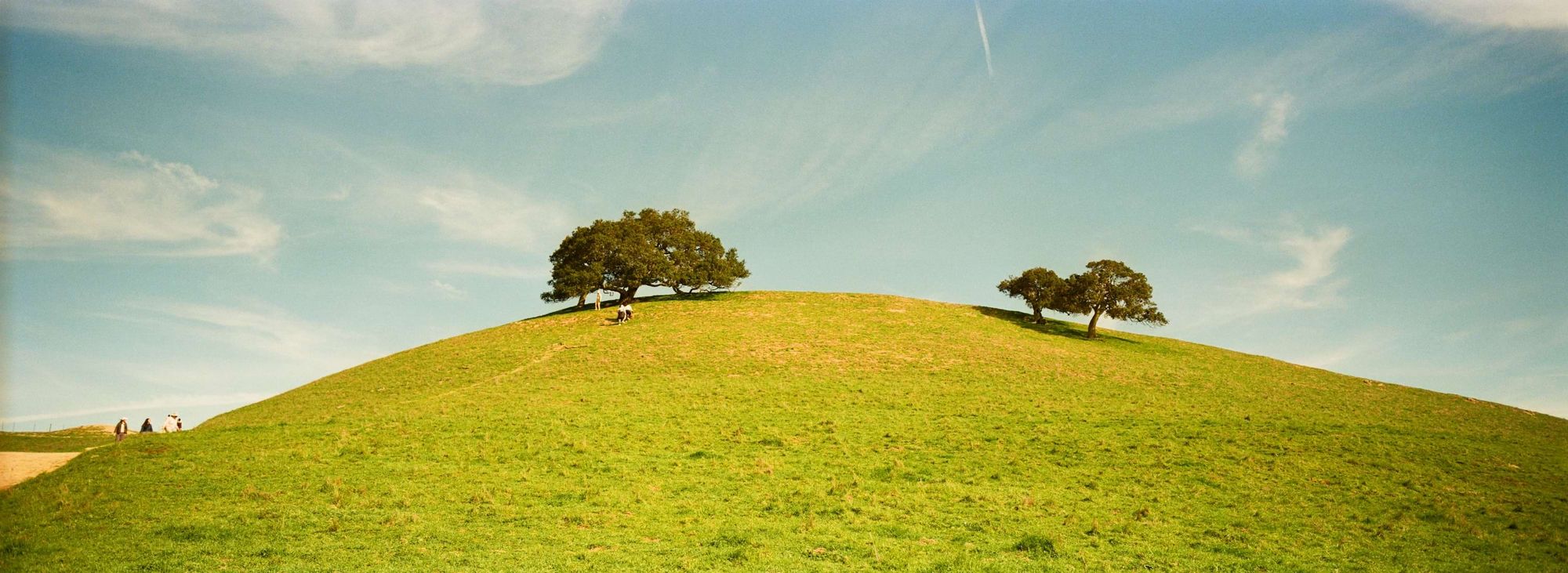 JustZht's EchoChamber： 2026.2.3